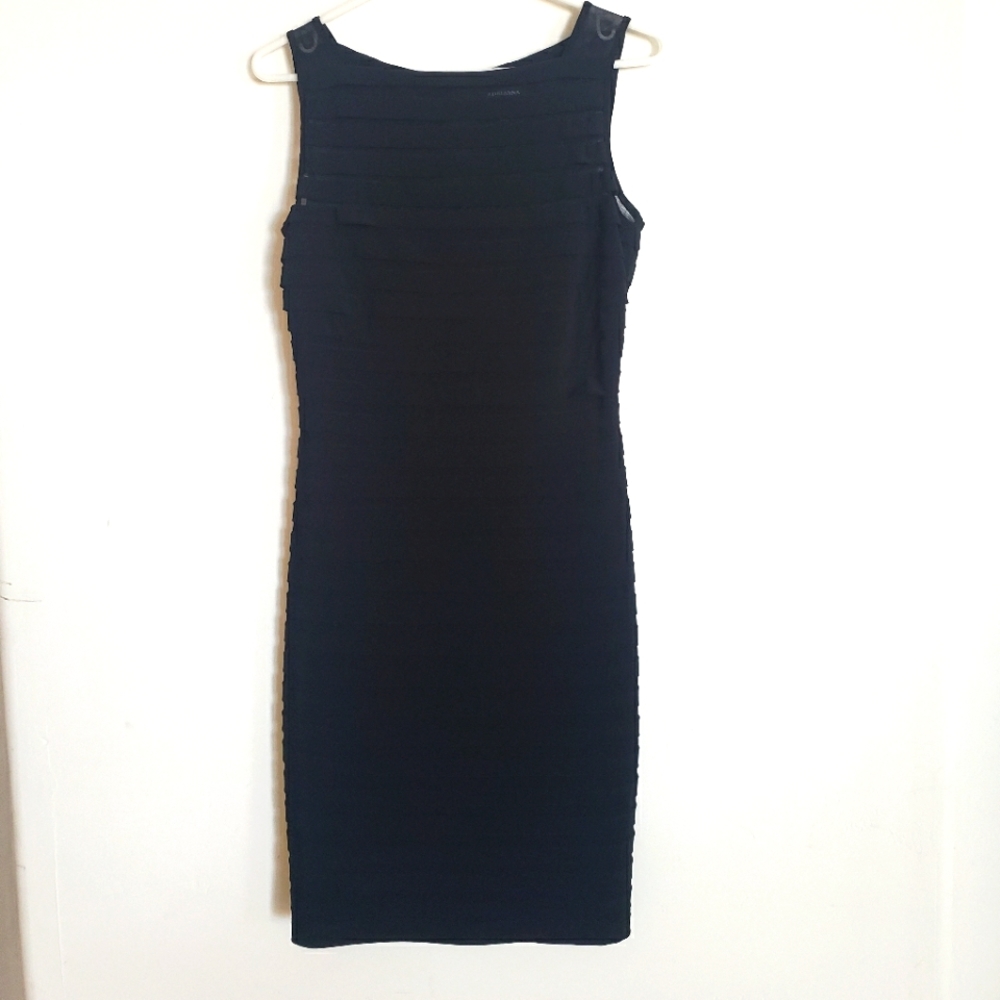 Adrianna Papell Form Fitting Dress